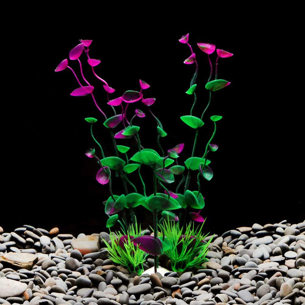 dropshipping aquarium supplies