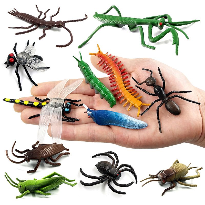 insect toy set