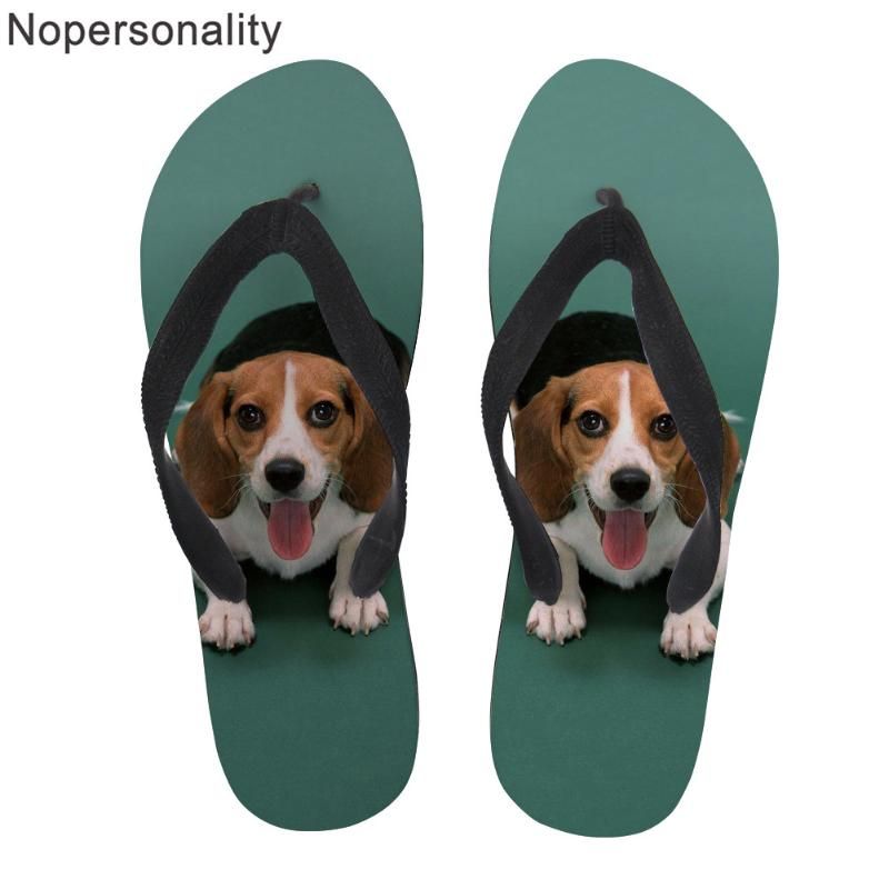 dog boots for beagles