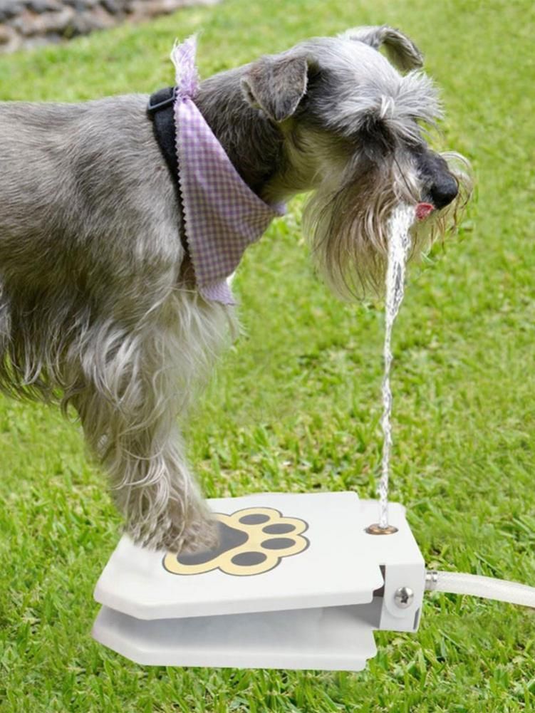 outdoor dog feeder