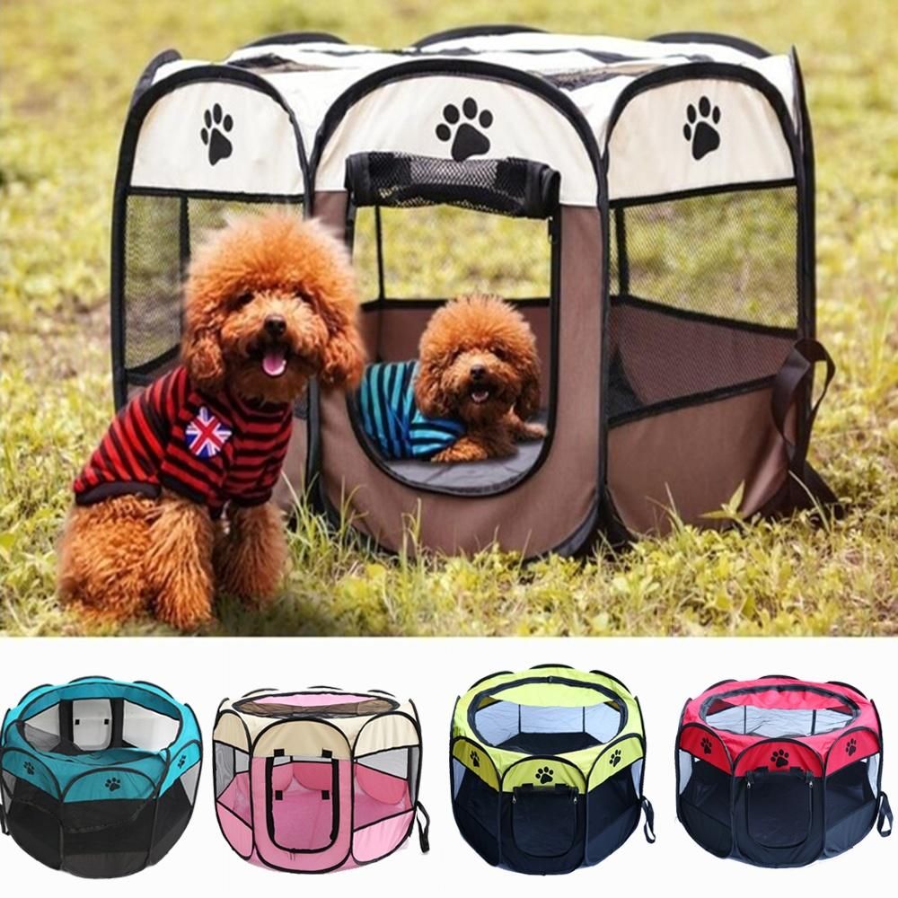 big dog house online