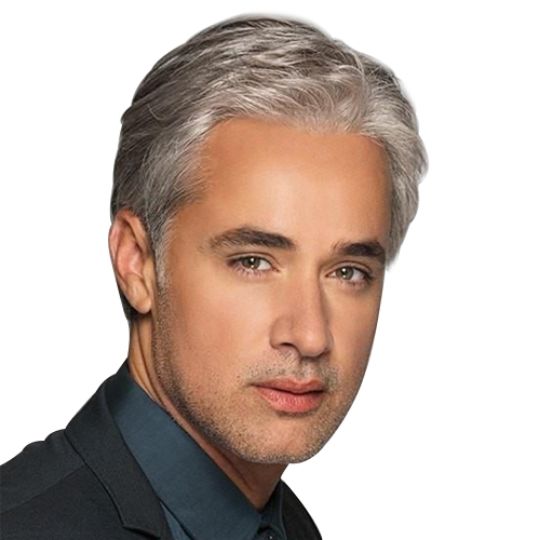 Men S Short Straight Hair Cover Gray White Side Party Wigs 4