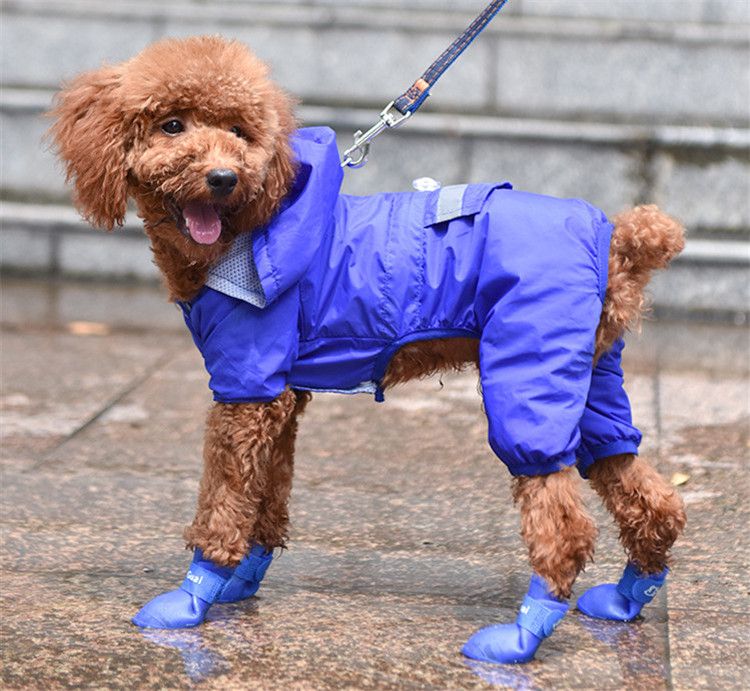 silicone dog boots