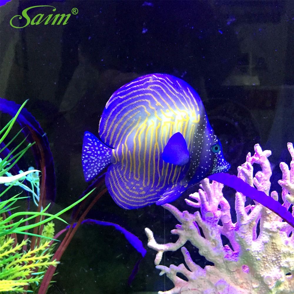 floating aquarium decorations
