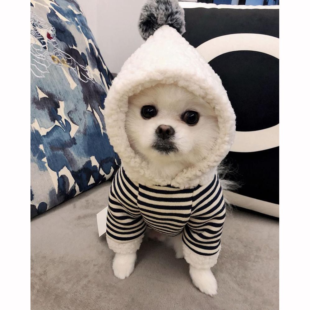 2020 Stripe Pet Dog Clothes With Hat Cute Dog Hoodies Cotton Cat