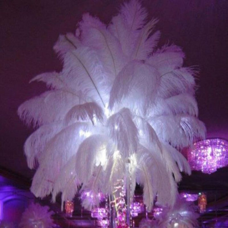 ostrich feathers for weddings