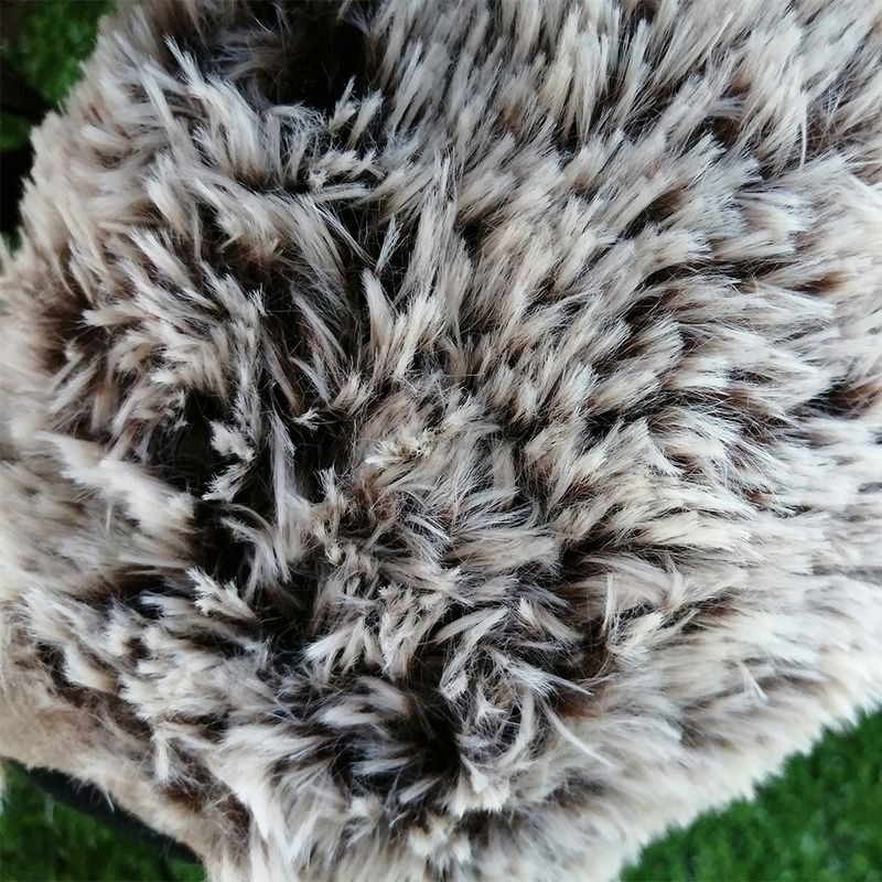 lucas the spider 1st edition