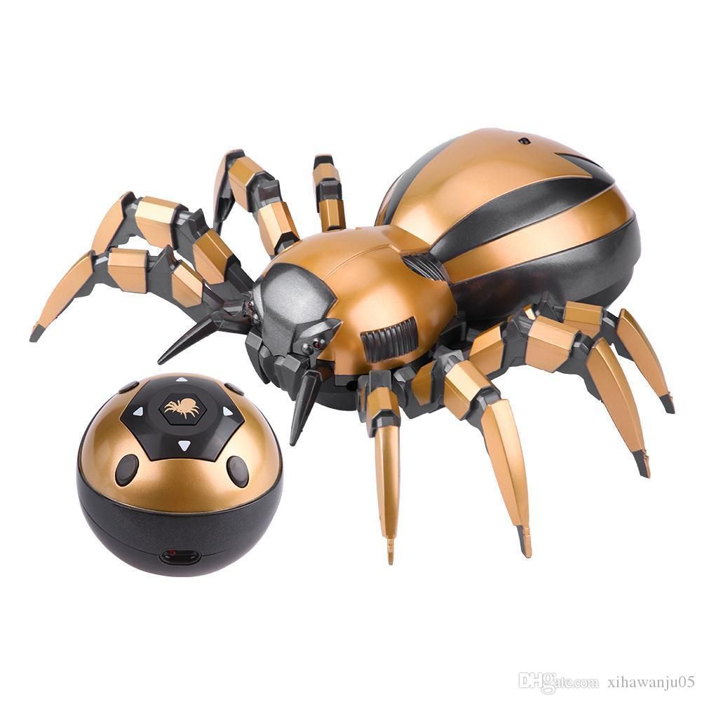 rc spider