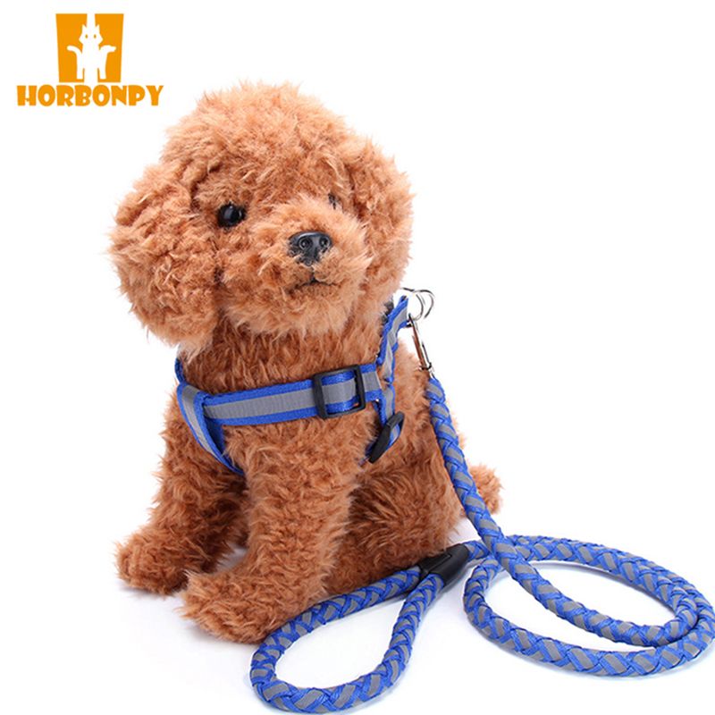small dog harness and lead
