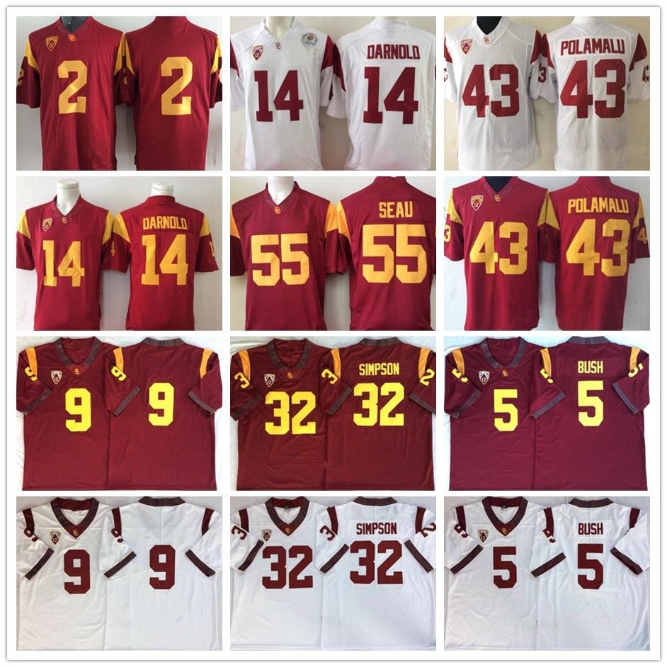 troy polamalu college jersey