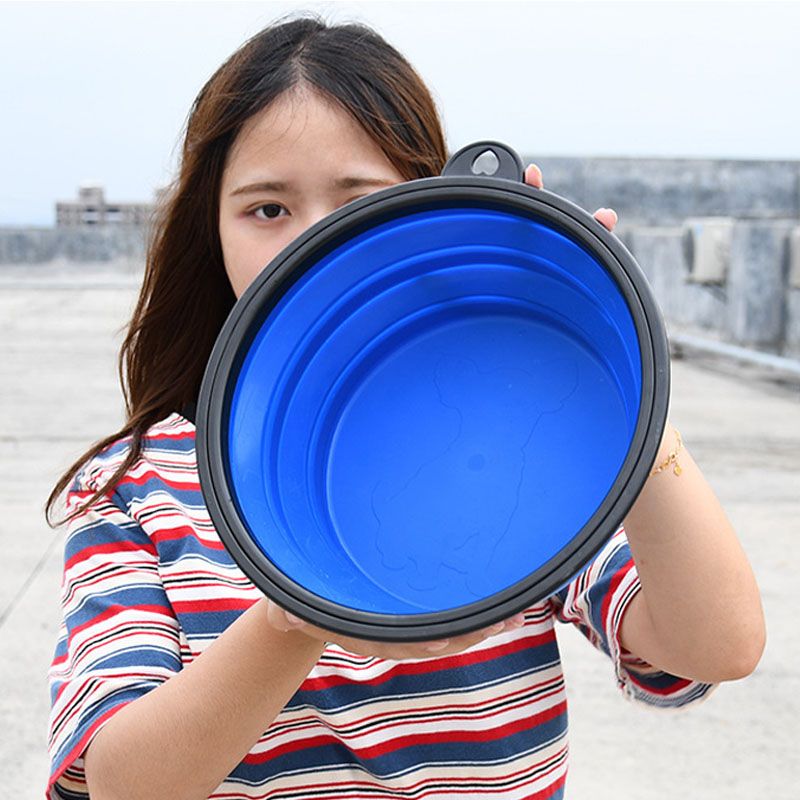 large collapsible dog bowl