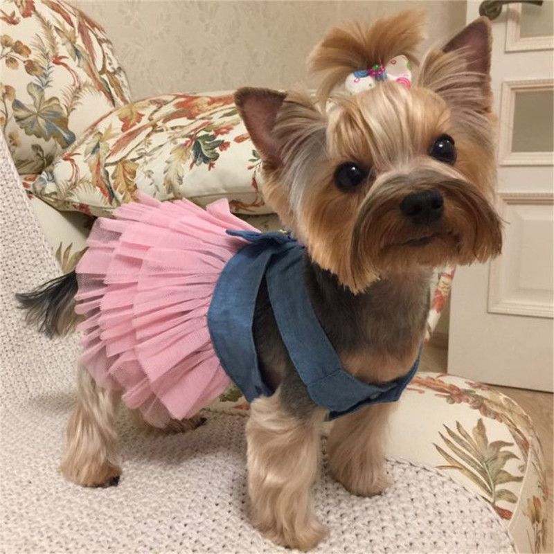 vestido de boda ropa de primavera para mascotas WENGE Vestido de verano para perro o mascota ropa para cachorros ropa para perros pequeños chihuahua falda rosa S