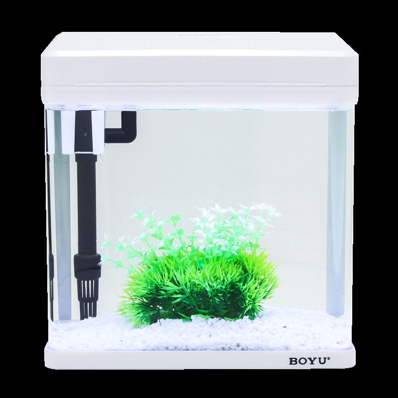 aquarium boyu mini