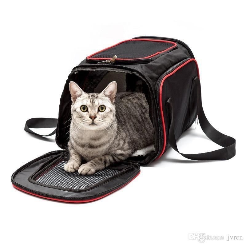 mesh cat backpack