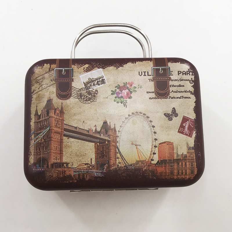 Suitcase Luggage Eyelash Box5