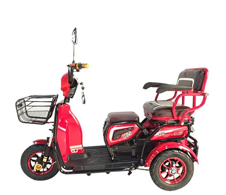 3 seater electric bike