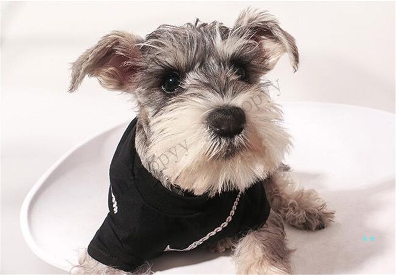 2020 Jhshopyy Dog Clothes Pet Spring And Summer Outfit ...