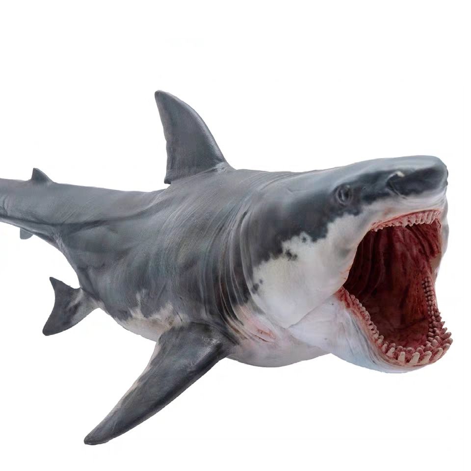megalodon pnso