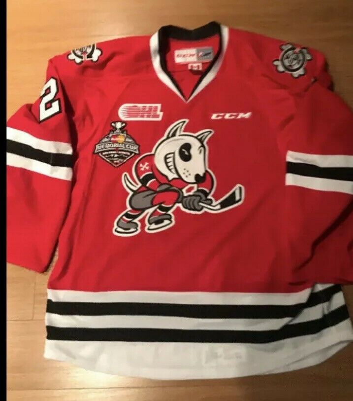 niagara icedogs jersey