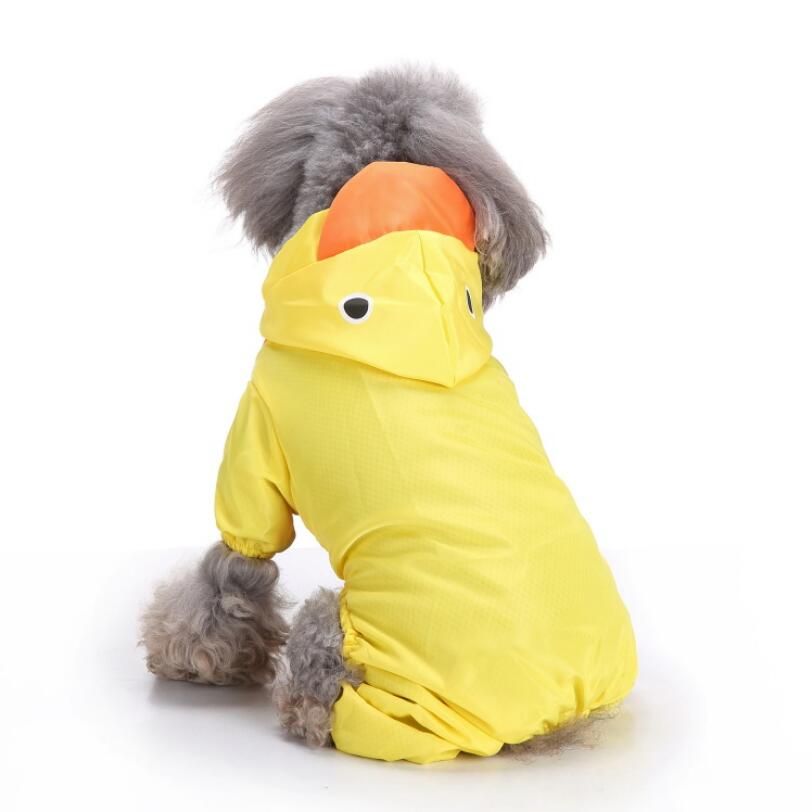 rain slicker
