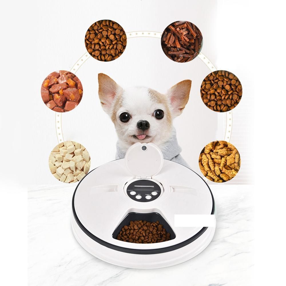 2019 2019 New Automatic Pet Feeder Timing Feeder 6 Meals 6 Grids