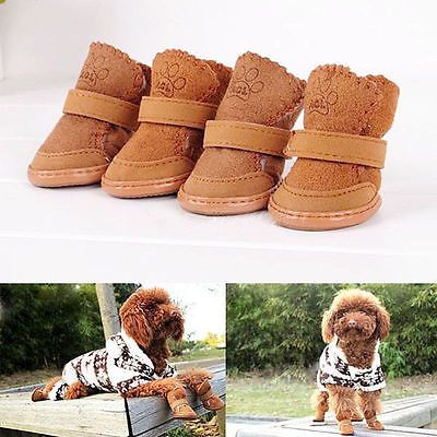 puppy dog boots