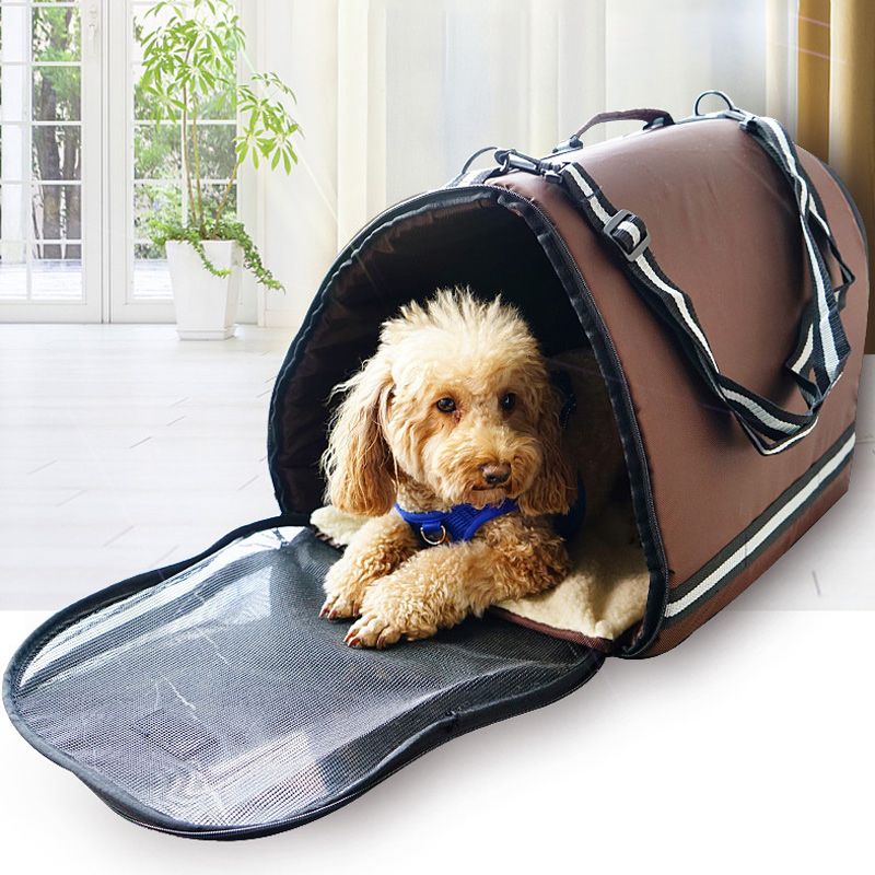 chihuahua backpack