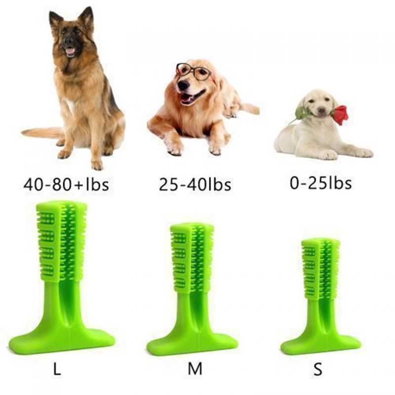 brite bite brushing stick