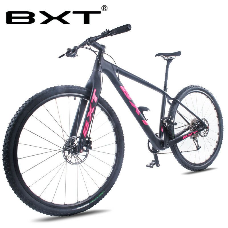 mountain bike trainer 29er