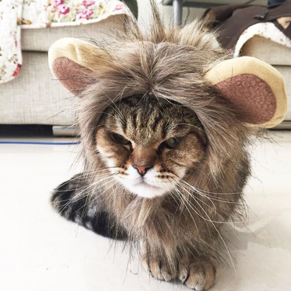 Furry Gatos Jouet Chat Katten Speelgoed Pet Hat Costume Lion Mane Wig For Cat Pets Halloween Fancy Dress Up With Ears Home From Starch 22 Dhgate Com