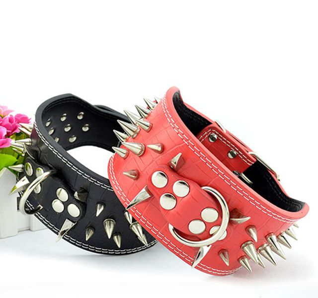 Spiked Leather Dog Collars For Sale IUCN Water
