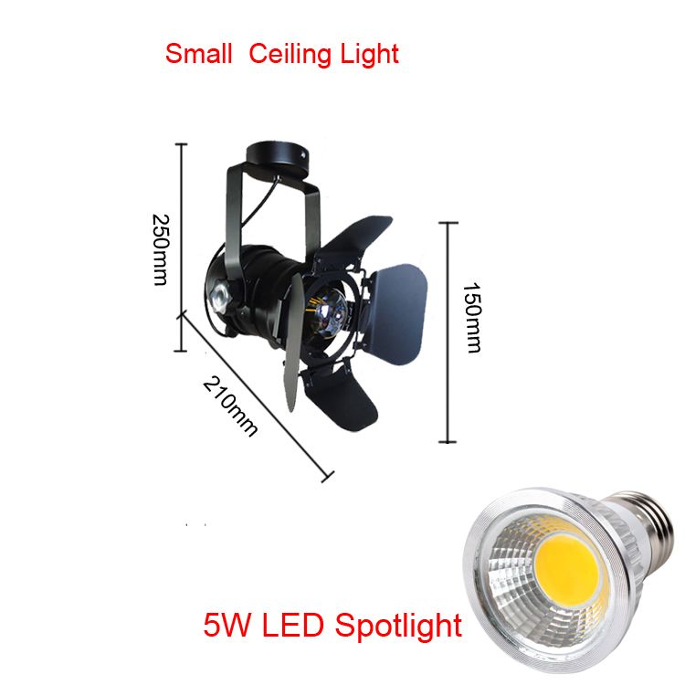 Small Ceiling Light
