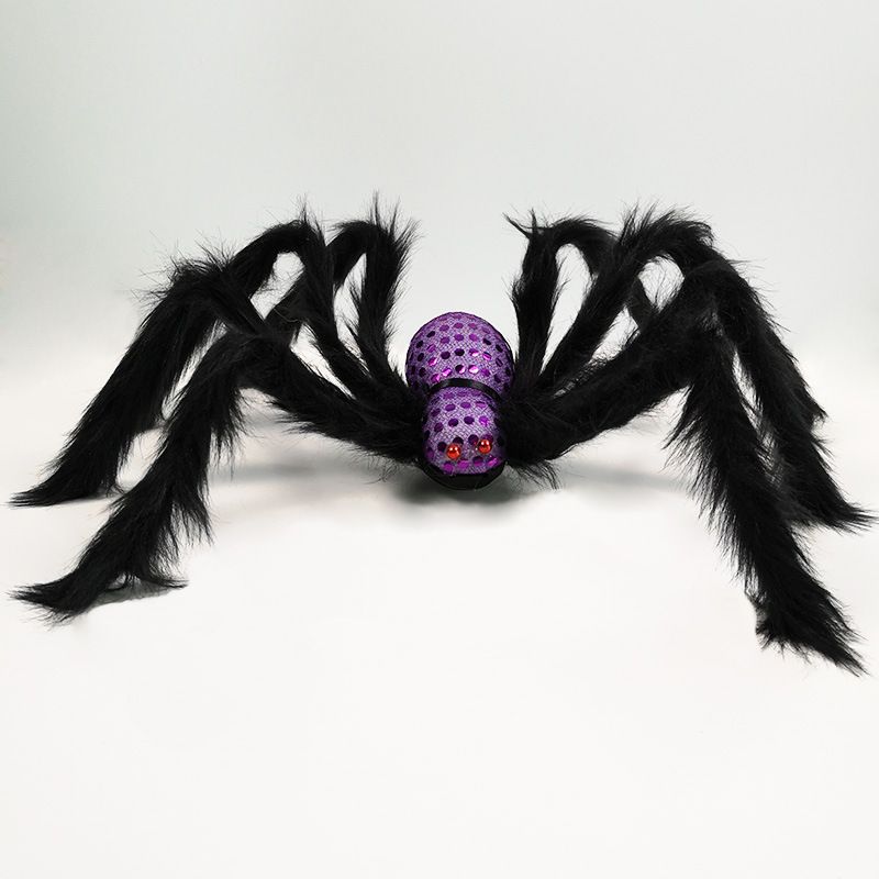 spiders party shop