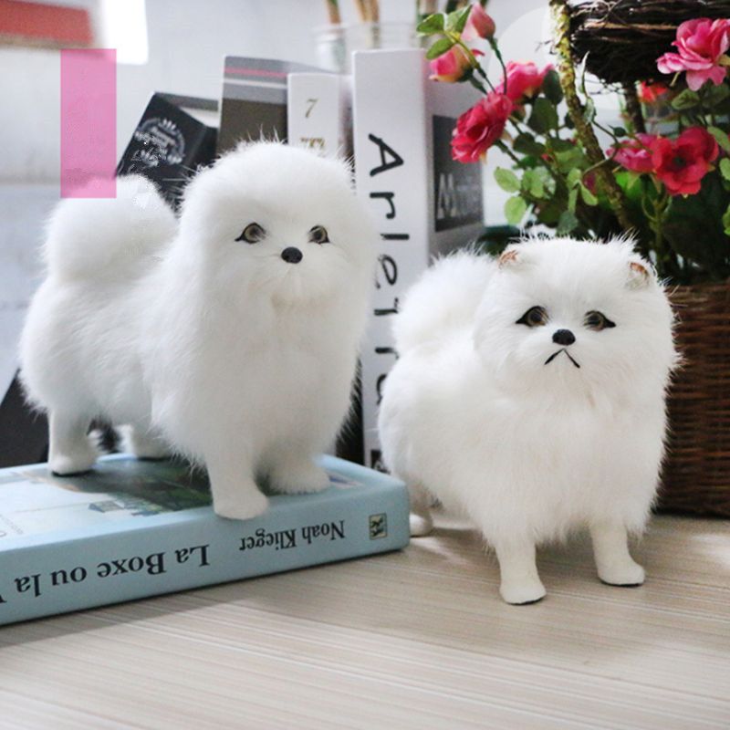 miniature chow chow