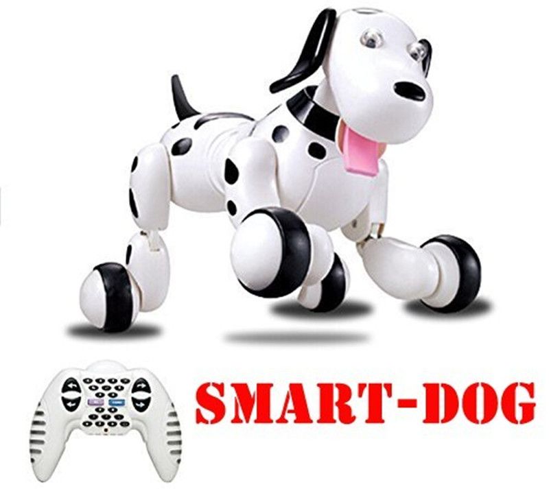 zoomer dog