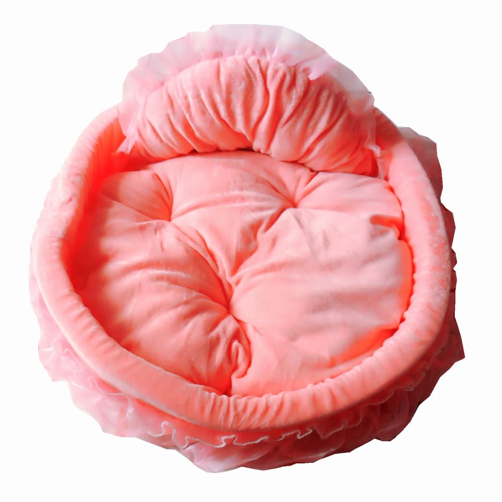 girl dog beds