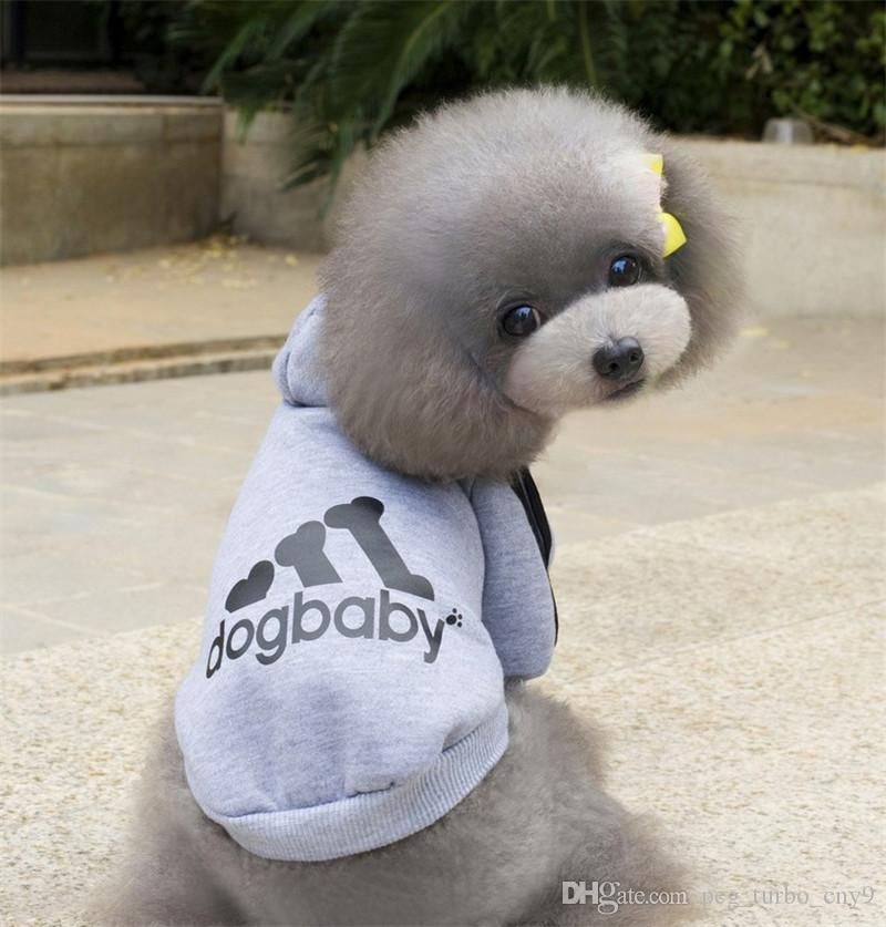 designer dog coats