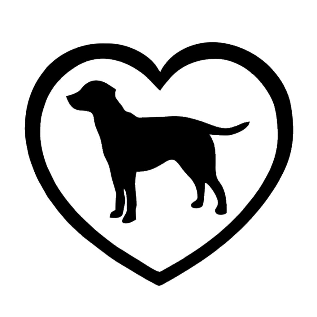 black lab accessories