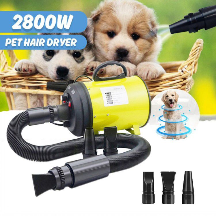 blower dog grooming