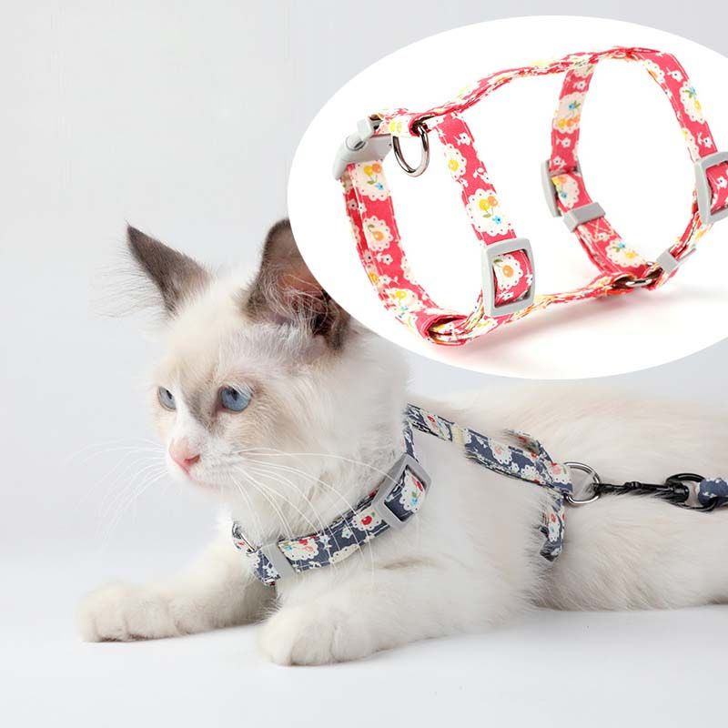cat harness for sale