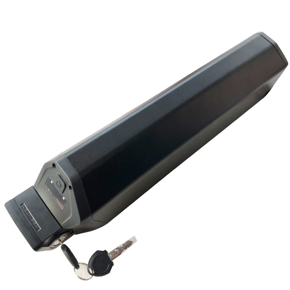 2021 Reention Dorado Max 52V 17.5Ah 1000W Ebike Battery Pack With 58.8V