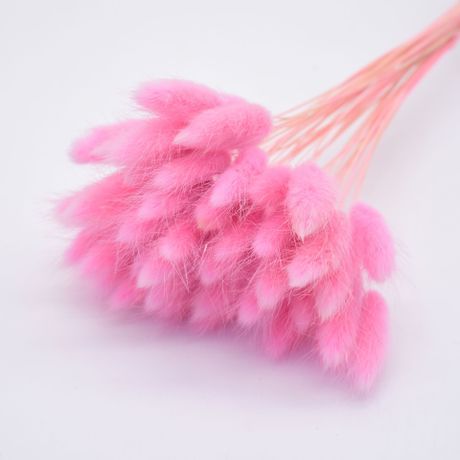 satin al yeni ev dekorasyon tavsan kuyrugu otu dogal kurutulmus cicek buketi gercek cicek sonsuz cicek kopek kuyruk toptan cekim sahne tl26 75