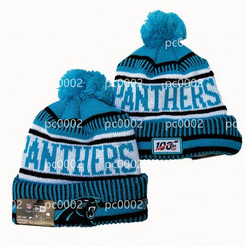 Carolina Panthers Skull Cap 2024 www.s100computers