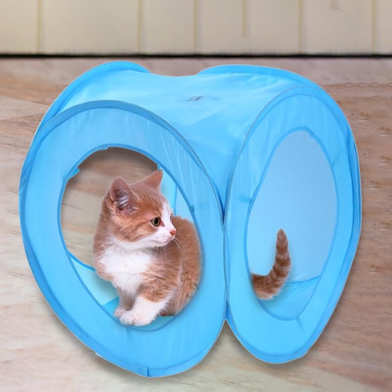small cat tunnel