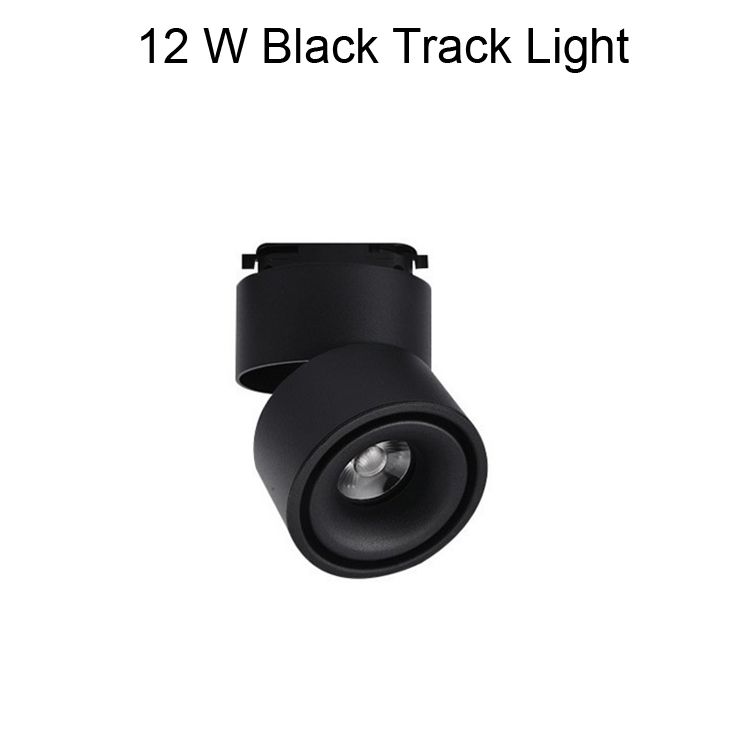 12 W Black Track Light