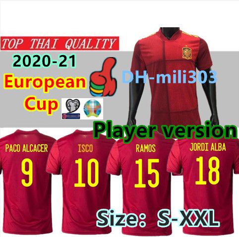 player version soccer jersey