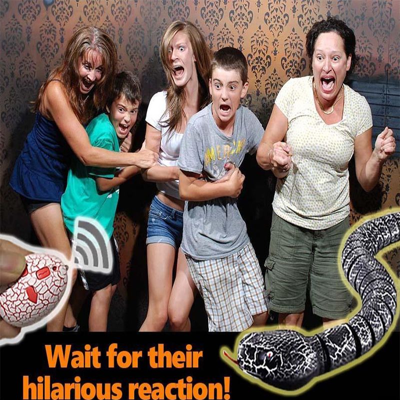 funny remote control snake