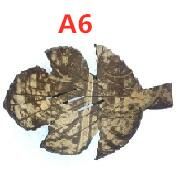 A6.