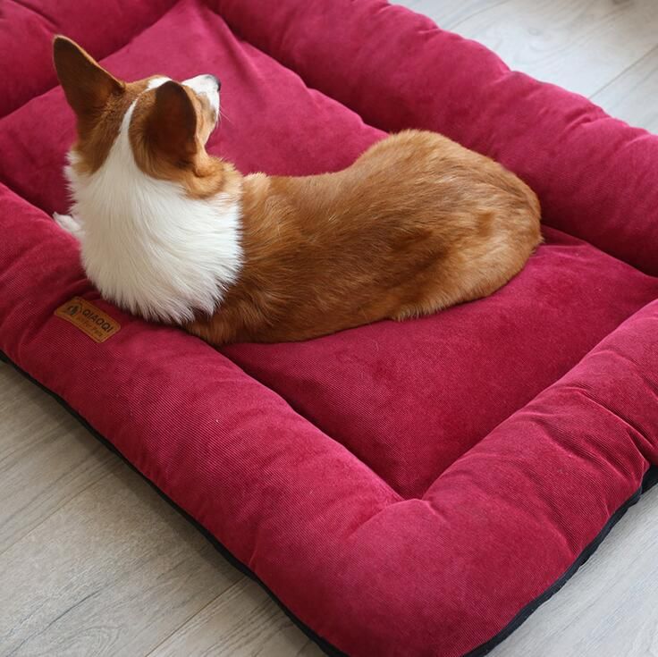 discount dog bed