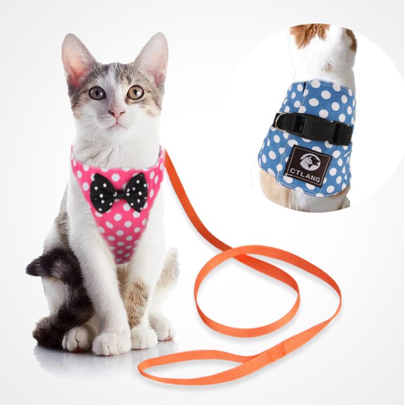 Acheter Corde De Traction Pour Animaux De Compagnie Chien Corde Noeud Papillon Gilet Hamesses Style Corde De Chat Glissante Anti Bris De Chat Gilet De Traction Traction De 3 17 Du Camely Store Acheter Corde De Traction Pour Animaux De Compagnie Chien Corde Noeud Papillon Gilet Hamesses Style Corde De Chat Glissante Anti Bris De Chat Gilet De Traction Traction De 3 17 Du Camely Store